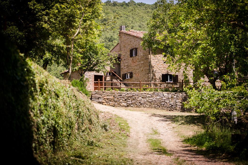 카스티글리온플로렌티노 Borgo Al Teto La Vite 아파트 외부 사진